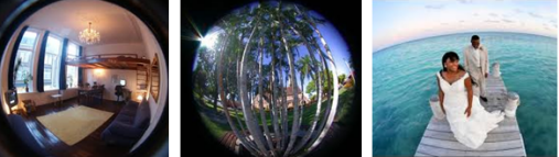 Three examples of a fisheye lens, showing curvature and bending