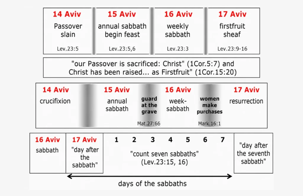 English biblical timeline diagram showing 14 to 17 Aviv, Passover slain, annual sabbath, weekly sabbath, firstfruit sheaf, crucifixion, burial guard, women buying spices, resurrection, and the counting of seven sabbaths from Leviticus 23.